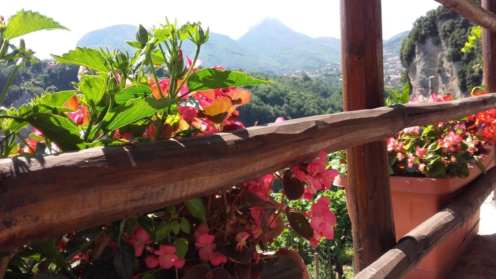 Agriturismo Orrido Di Pino Аджерола Екстериор снимка