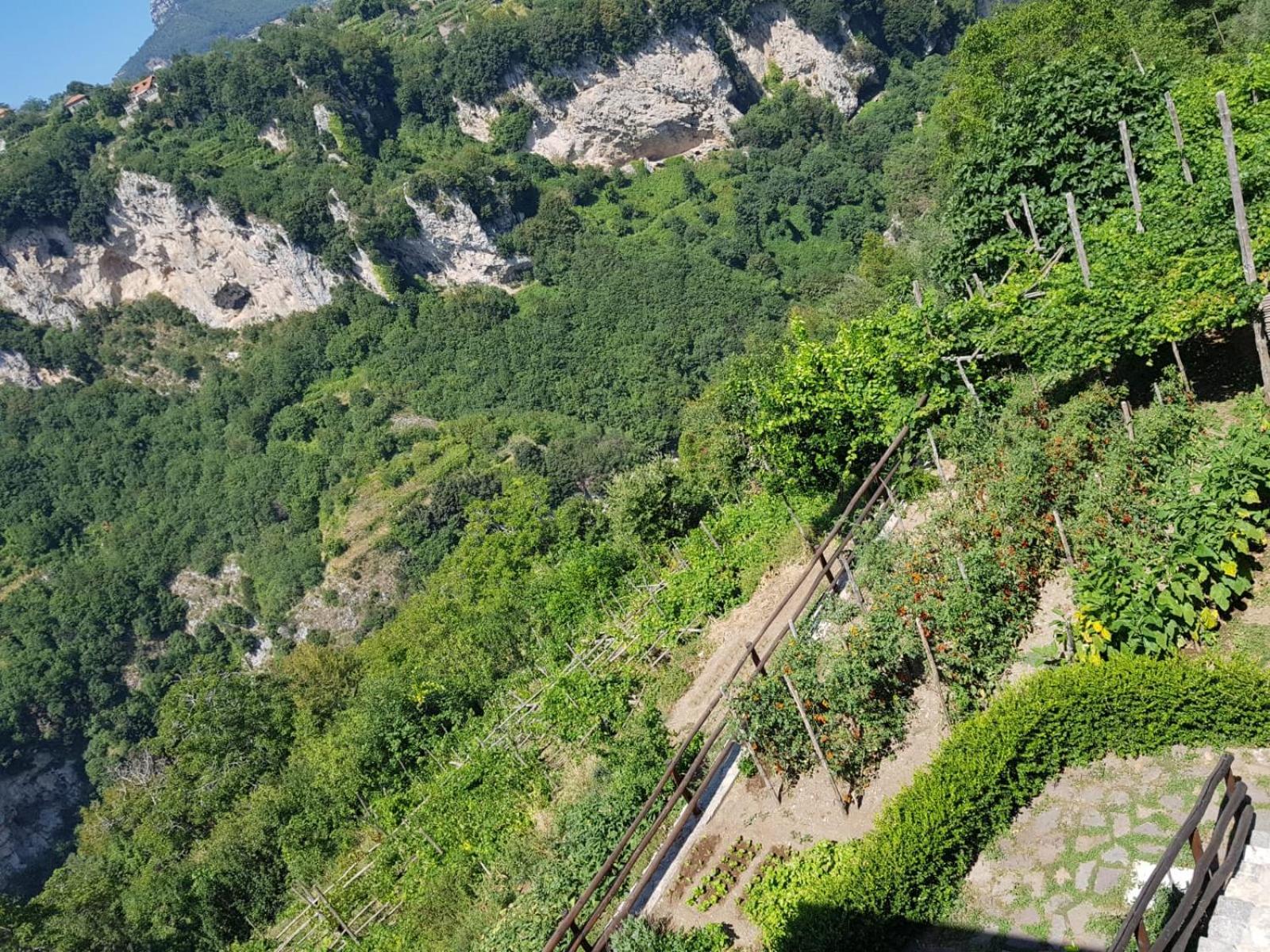 Agriturismo Orrido Di Pino Аджерола Екстериор снимка