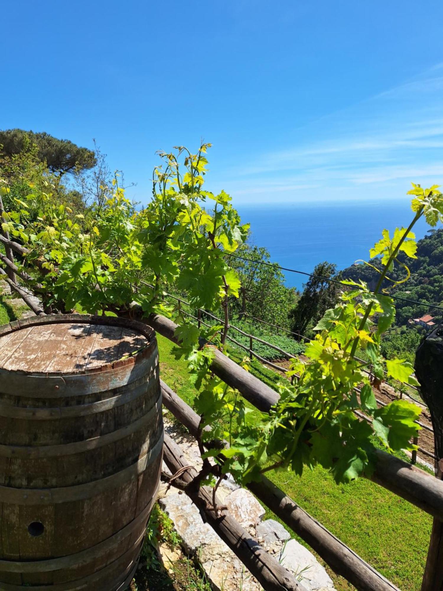 Agriturismo Orrido Di Pino Аджерола Екстериор снимка