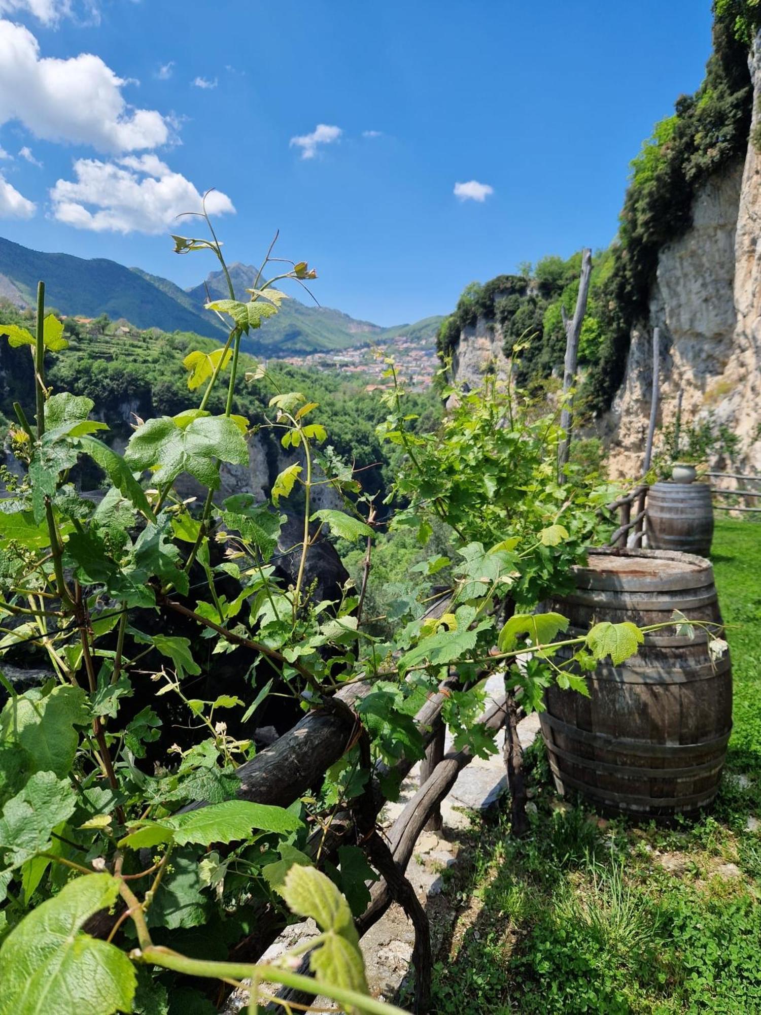 Agriturismo Orrido Di Pino Аджерола Екстериор снимка