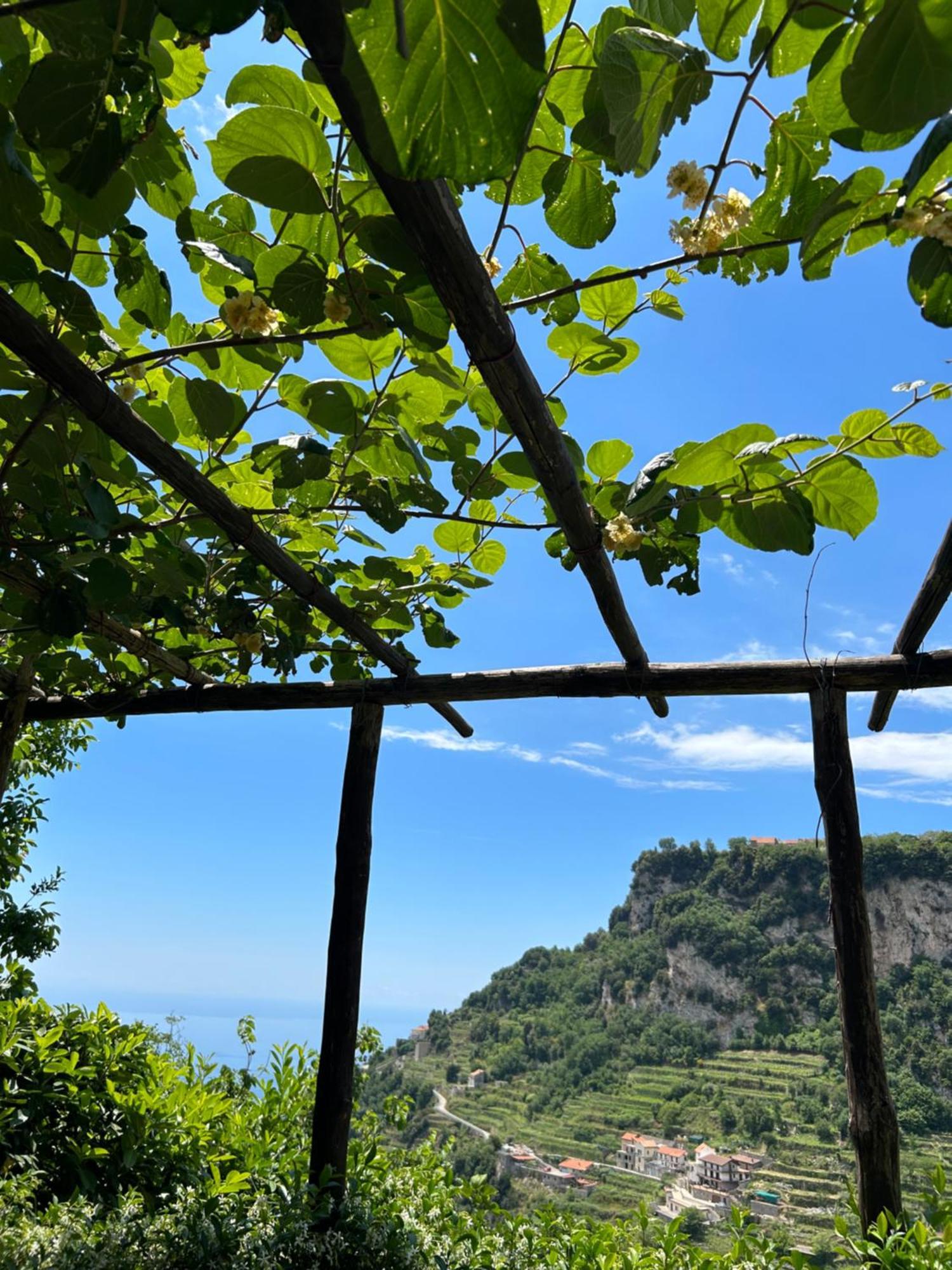 Agriturismo Orrido Di Pino Аджерола Екстериор снимка