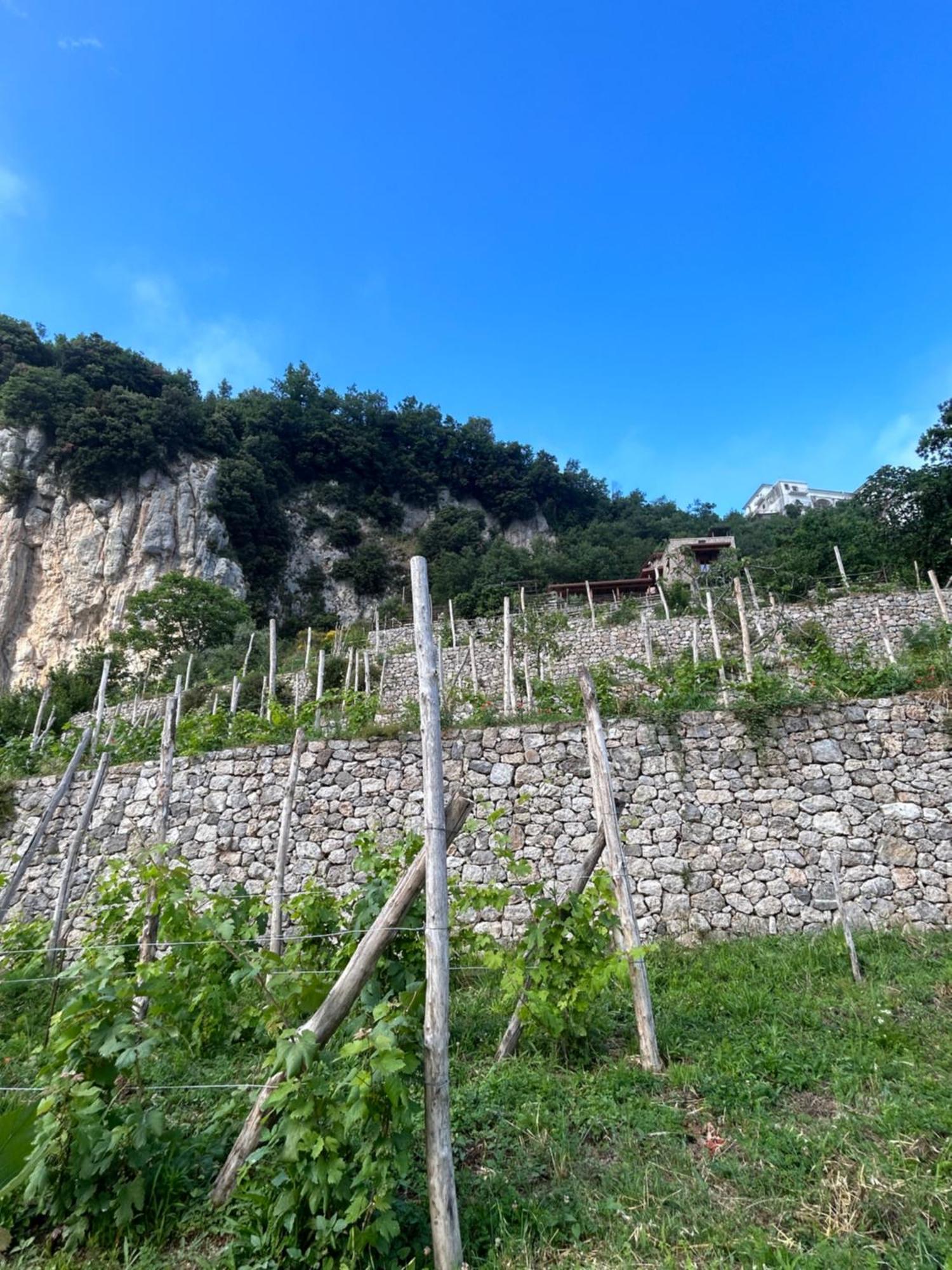 Agriturismo Orrido Di Pino Аджерола Екстериор снимка