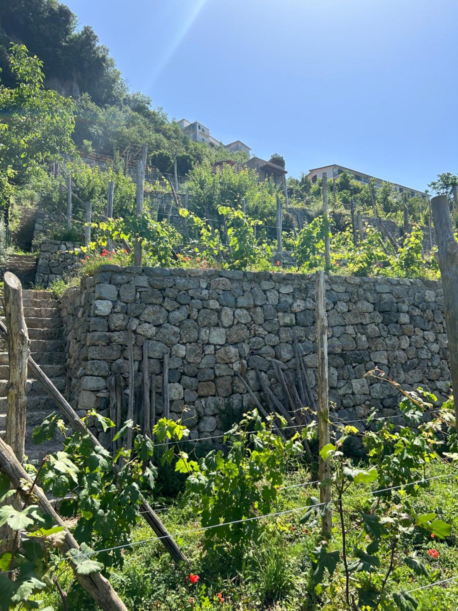 Agriturismo Orrido Di Pino Аджерола Екстериор снимка