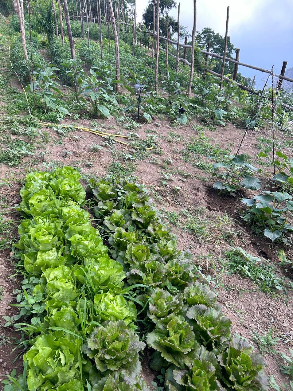 Agriturismo Orrido Di Pino Аджерола Екстериор снимка